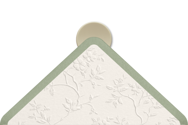 Flap atrás